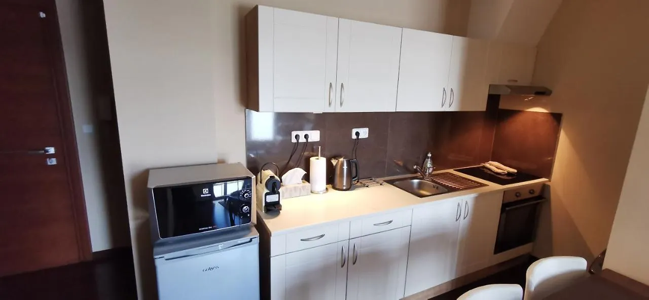 Moser Apartment Carlsbad Karlsbad Tsjechië