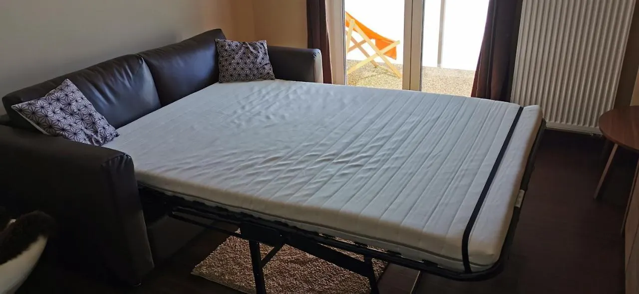 Moser Apartment Carlsbad カルロヴィ・ヴァリ